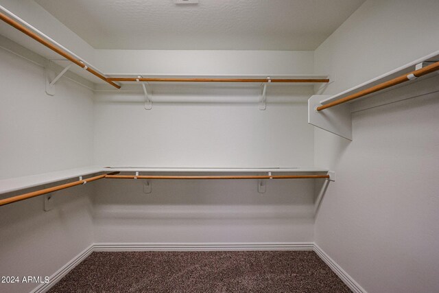 walk in closet with carpet floors