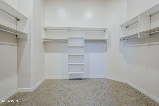 spacious closet with carpet