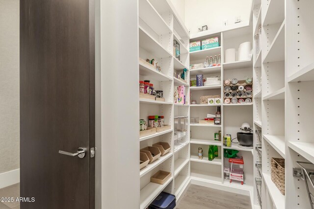 view of pantry