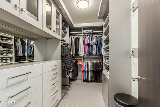 view of walk in closet