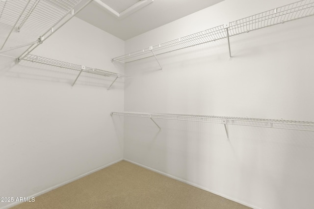 spacious closet with carpet flooring