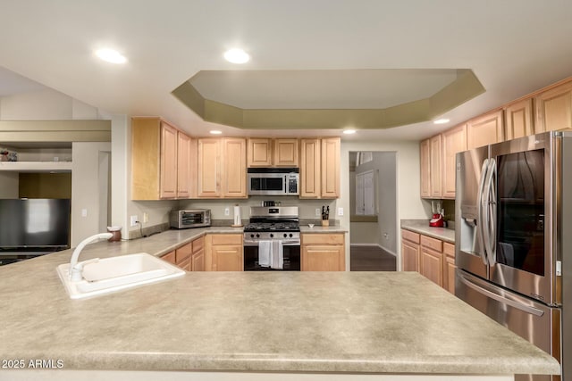kitchen with a tray ceiling, appliances with stainless steel finishes, and light brown cabinetry