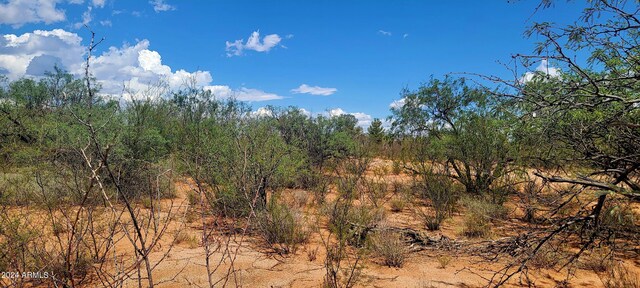 TBD S Calle Molinar -, Sierra Vista, AZ 85650