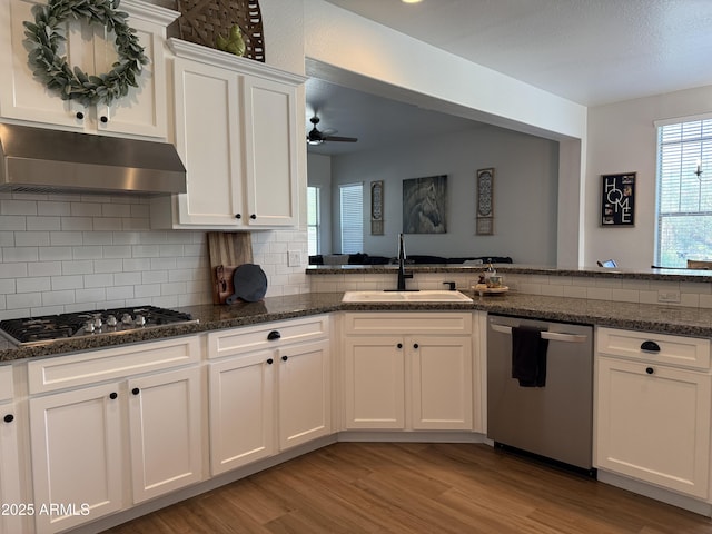3765 N Denny Way, Buckeye, AZ 85396 - kitchen featuring stainless steel appliances, under cabinet range hood, backsplash, white cabinets, and light wood-style flooring