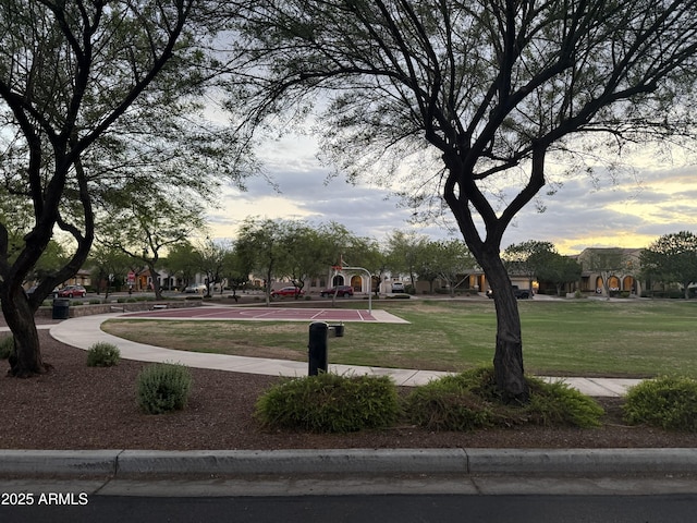 3765 N Denny Way, Buckeye, AZ 85396 - surrounding community with a yard and community basketball court