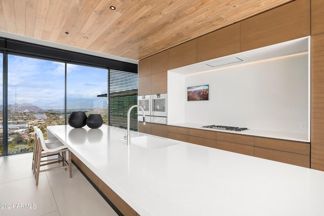kitchen featuring a sink and modern cabinets
