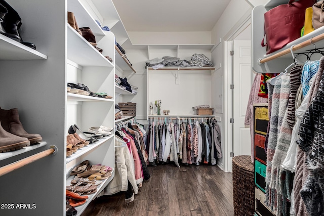 walk in closet with wood finished floors