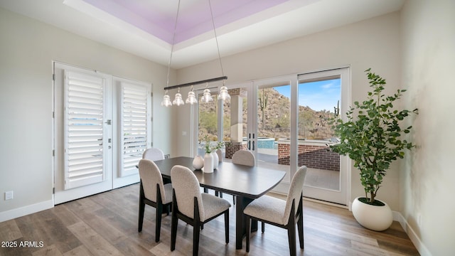 dining space featuring a tray ceiling, light hardwood / wood-style flooring, and french doors