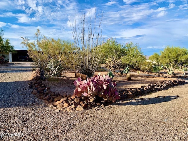 100 N Lazy Fox Rd Unit 8, Wickenburg, AZ 85390 - view of yard with a carport