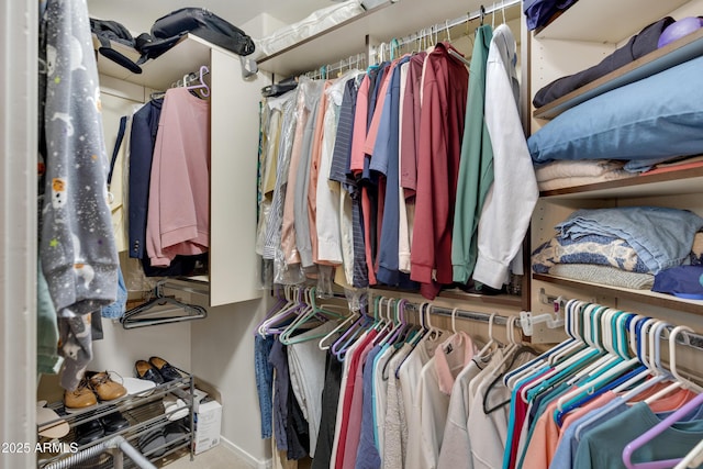 view of spacious closet