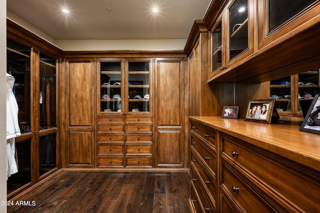 spacious closet featuring dark hardwood / wood-style floors