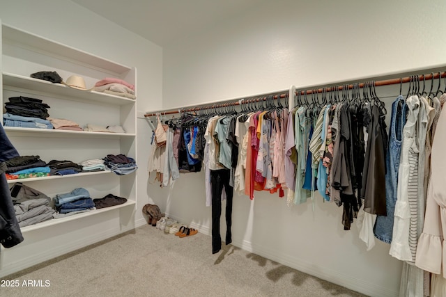 spacious closet with carpet floors