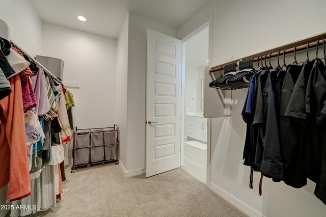 walk in closet with carpet flooring