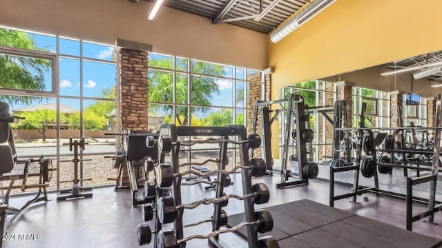 workout area with a towering ceiling