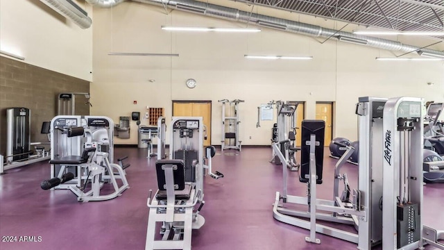 gym featuring a towering ceiling