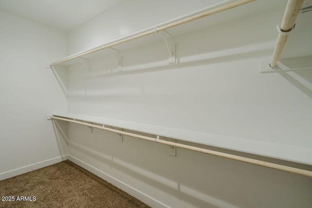 spacious closet featuring dark carpet