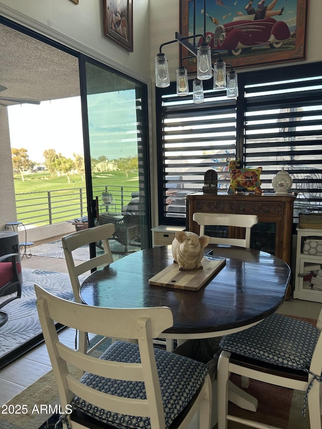 dining room featuring a wealth of natural light