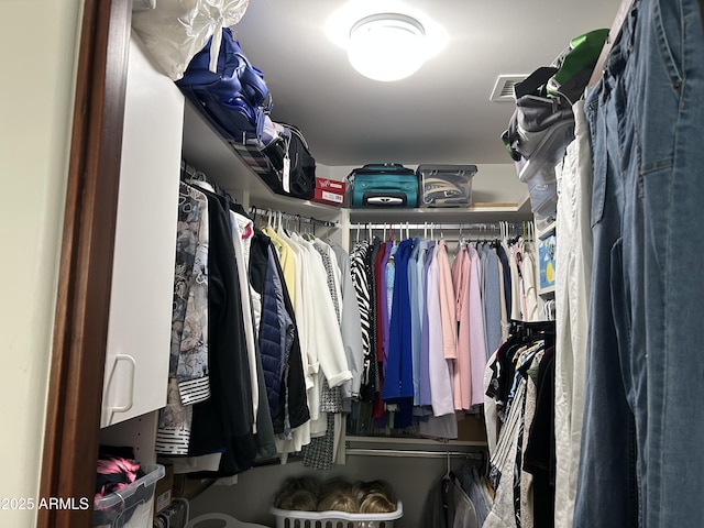 view of spacious closet