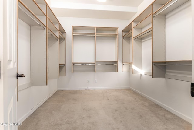 spacious closet with light colored carpet