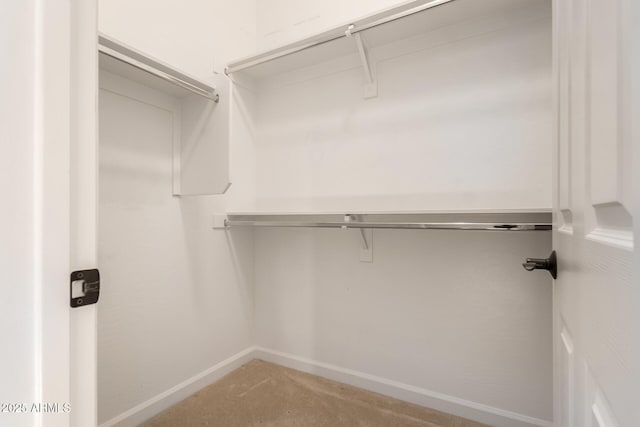 walk in closet featuring light colored carpet