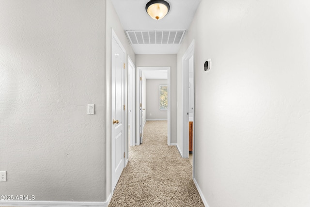 corridor with light colored carpet