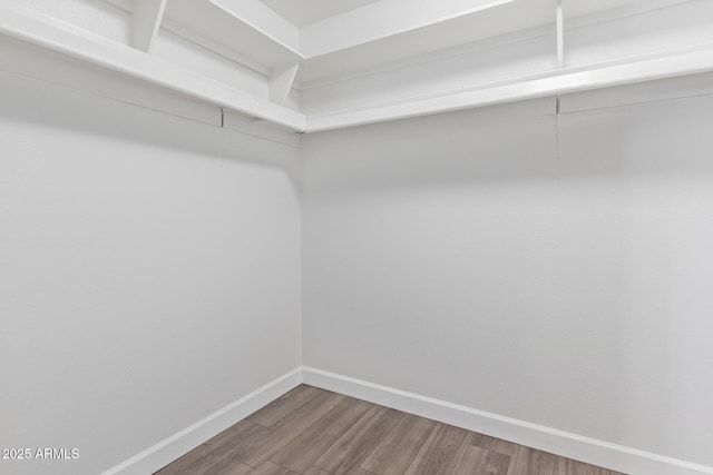 11671 S Jokake St, Phoenix, AZ 85044 - walk in closet featuring wood finished floors