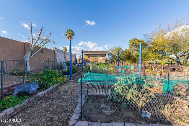 11671 S Jokake St, Phoenix, AZ 85044 - view of yard featuring a vegetable garden