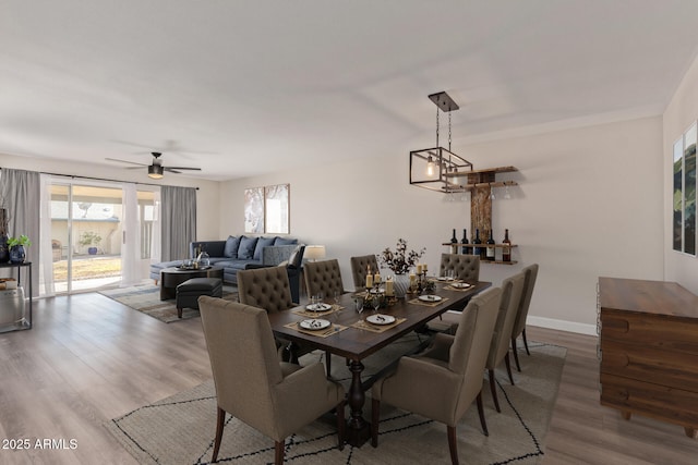 11671 S Jokake St, Phoenix, AZ 85044 - dining area with wood finished floors, ceiling fan, and baseboards