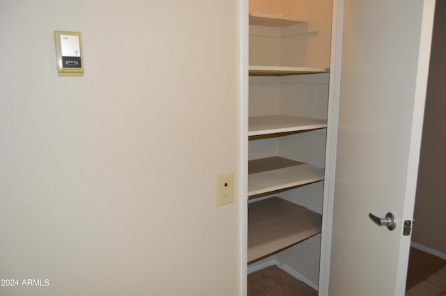 view of closet