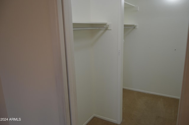 spacious closet featuring light carpet