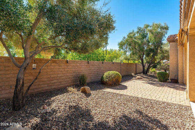 view of yard featuring a patio