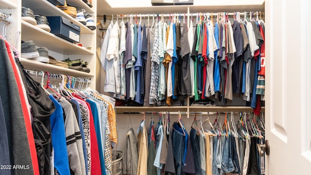 view of spacious closet