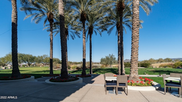 view of property's community featuring a patio and a yard