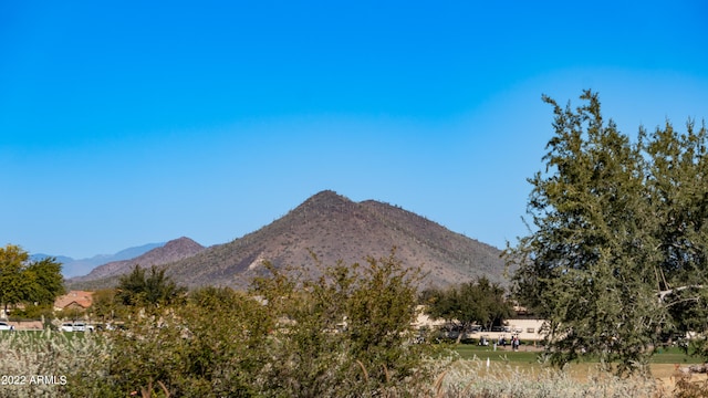 view of mountain feature