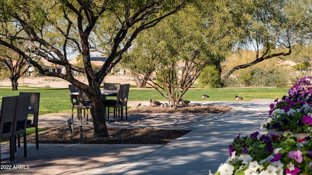 view of property's community with a lawn