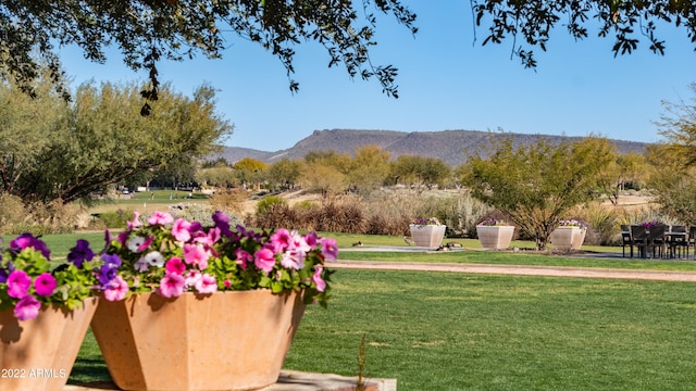 view of property's community featuring a mountain view and a yard