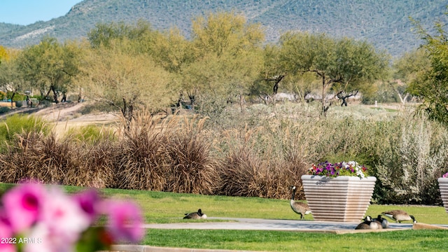 view of community featuring a mountain view and a yard