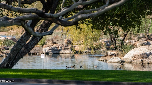 property view of water