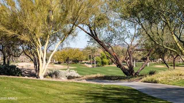 view of community with a lawn