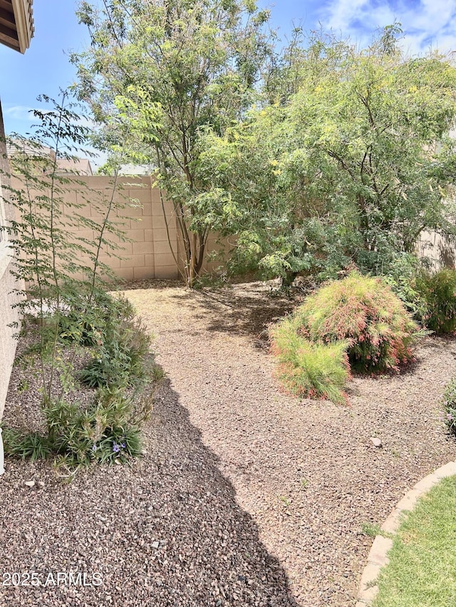 4956 S Leisure Way, Gilbert, AZ 85298 - view of yard