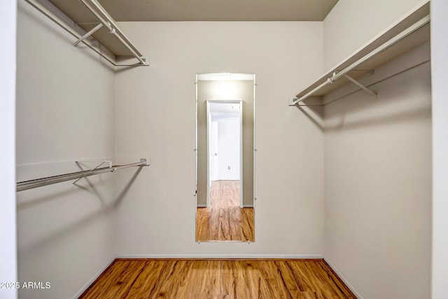 spacious closet featuring wood finished floors