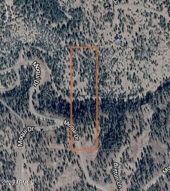 1129 W Moqui Dr Unit 9, Happy Jack AZ, 86024 land for sale