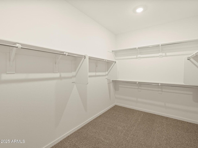 spacious closet featuring carpet floors