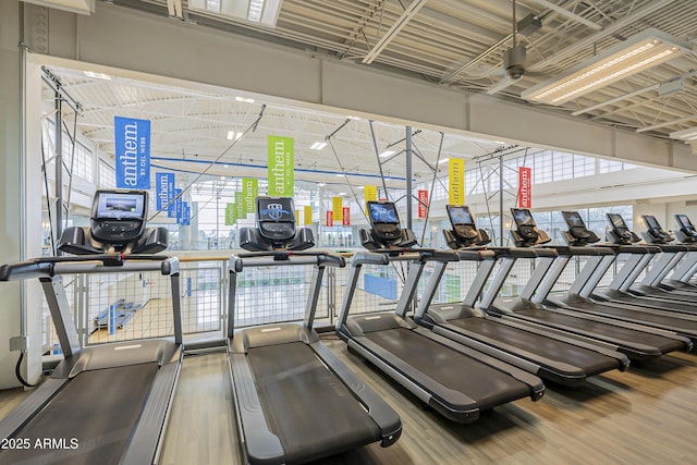 exercise room with a healthy amount of sunlight and wood-type flooring