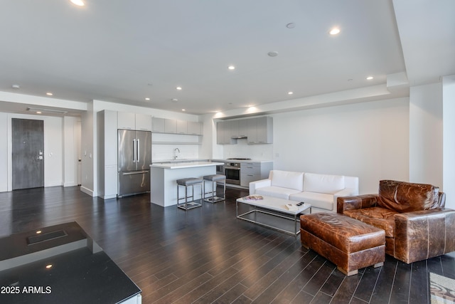 living room featuring sink and dark hardwood / wood-style floors