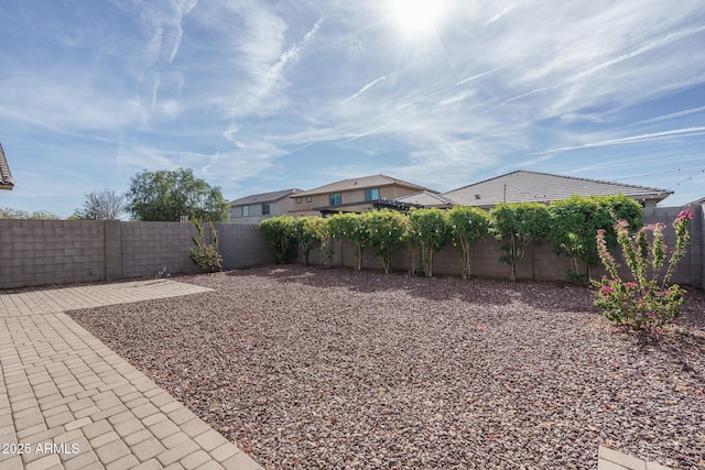 view of yard featuring a patio