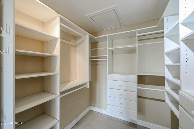 spacious closet with attic access and light carpet