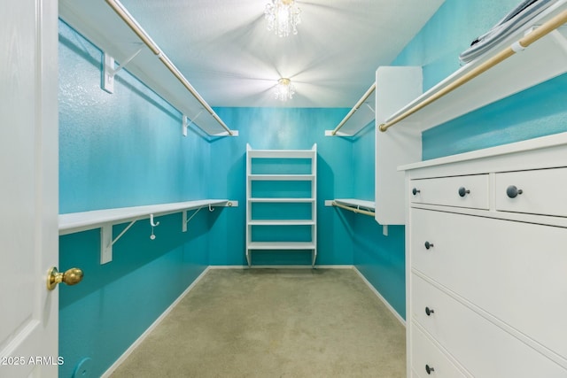 spacious closet with carpet