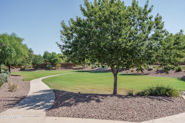 view of community with a yard