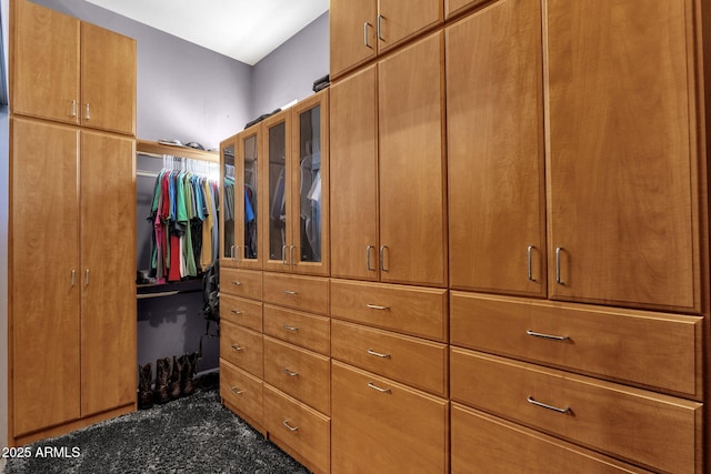 10254 N Demaret Dr, Fountain Hills, AZ 85268 - spacious closet featuring dark carpet